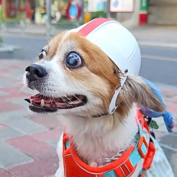 Majhne Hišne Čelada z Uho Luknjo Motocikel Pes Čelada Multi-sport Pes